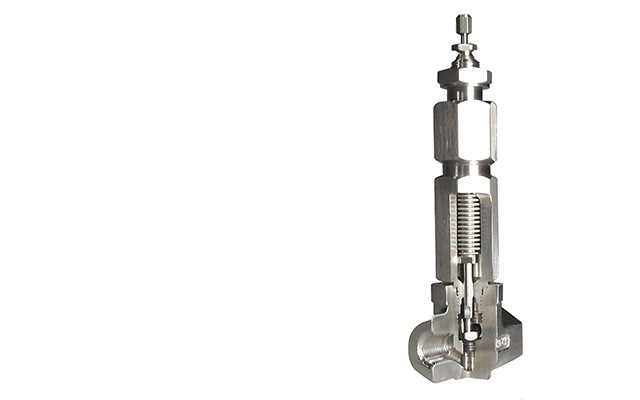 Badger Meter's Bellows Seal Valve is ideal for challenging applications.